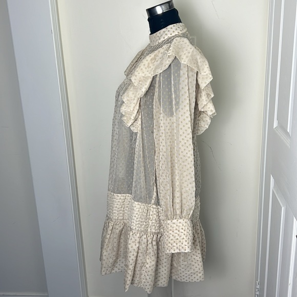 H&M Drop Waist Raffle Babydoll Polka Sheer Dress Size Small - Picture 2 of 13